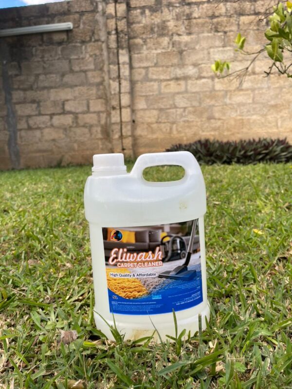 Eliwash Carpet Cleaner